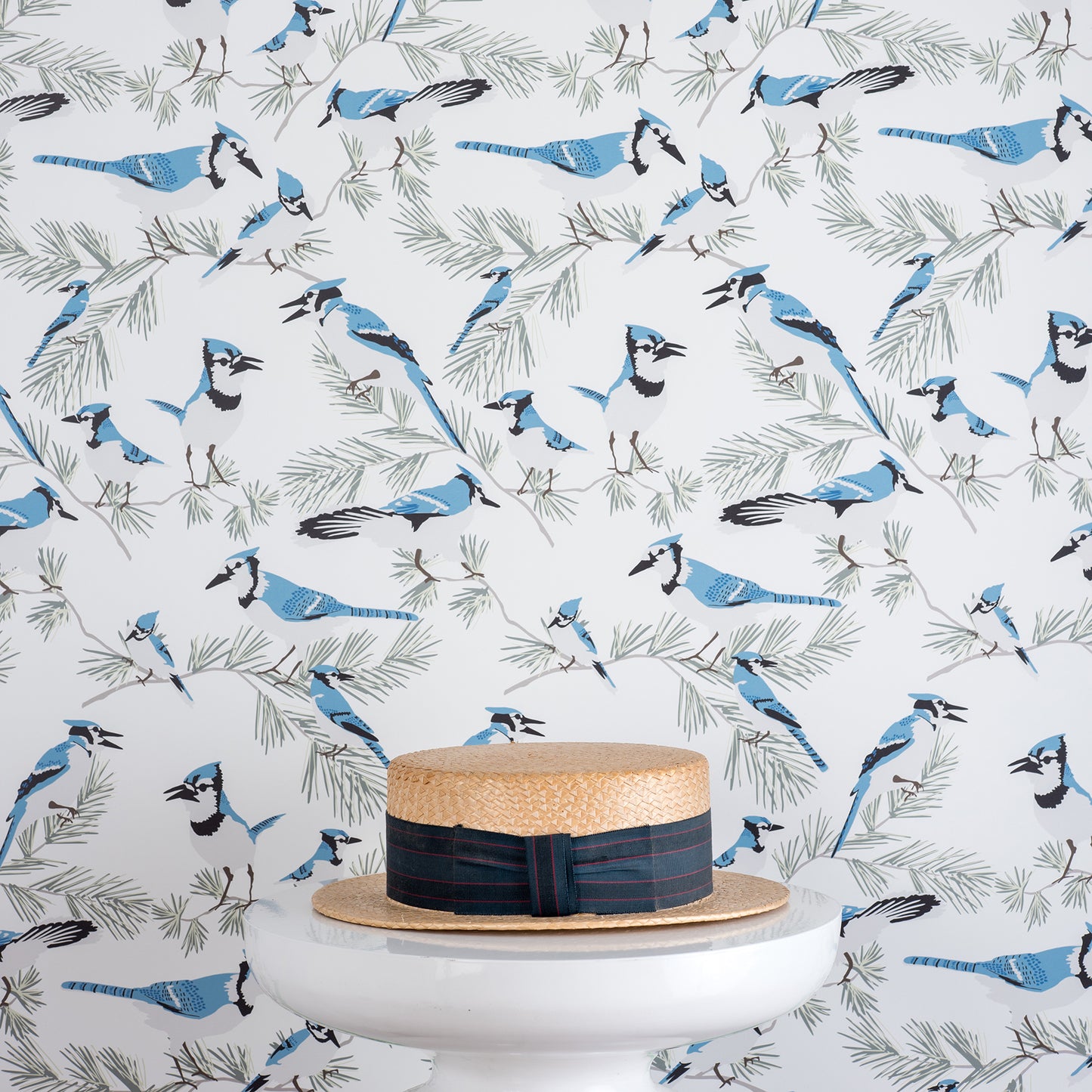 Blue Jay