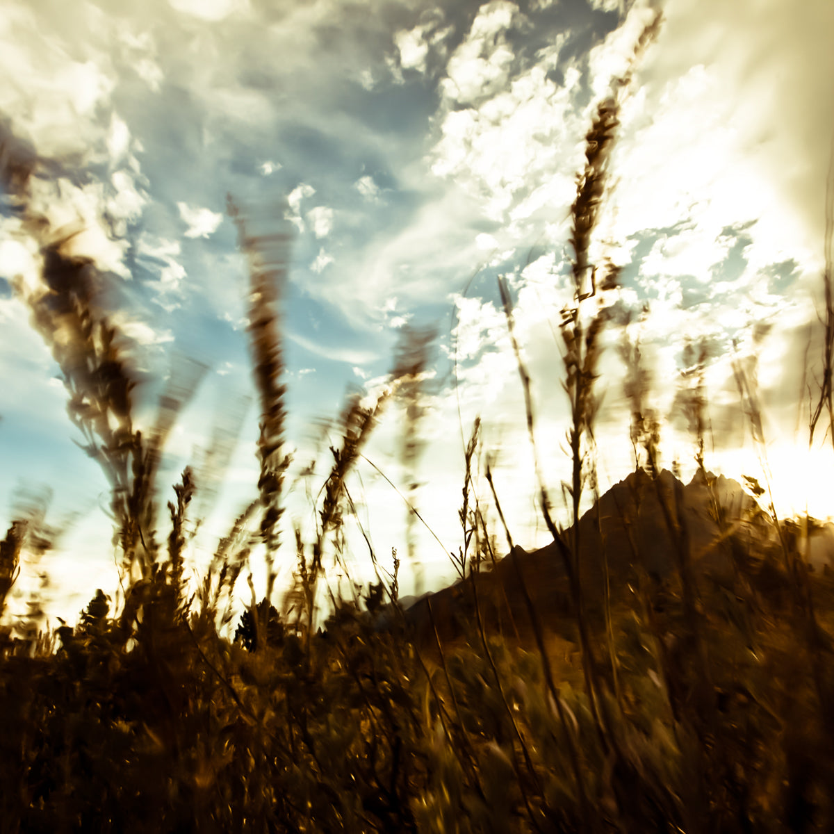 Waves of Grain