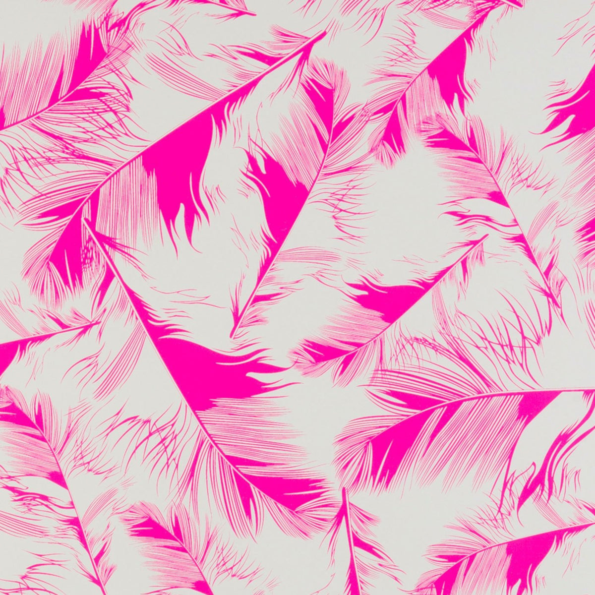 Featherlight in Aurora Pink on Ivory