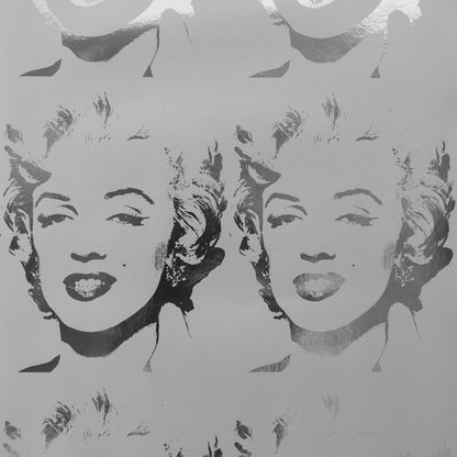 Marilyn Reversal in Silver on Chrome