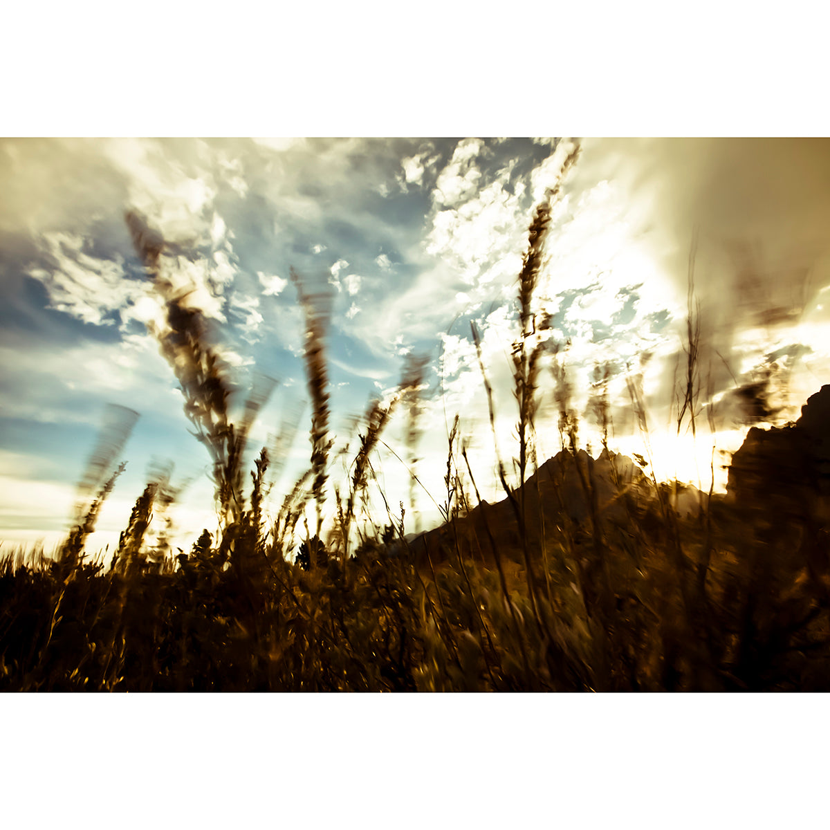 Waves of Grain