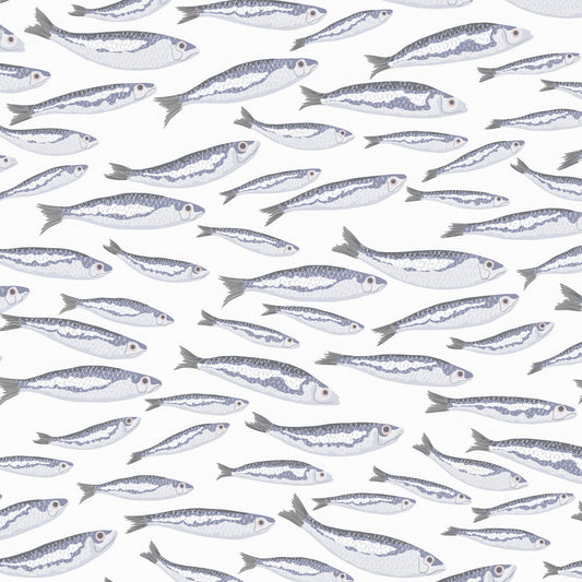 Sardines in White