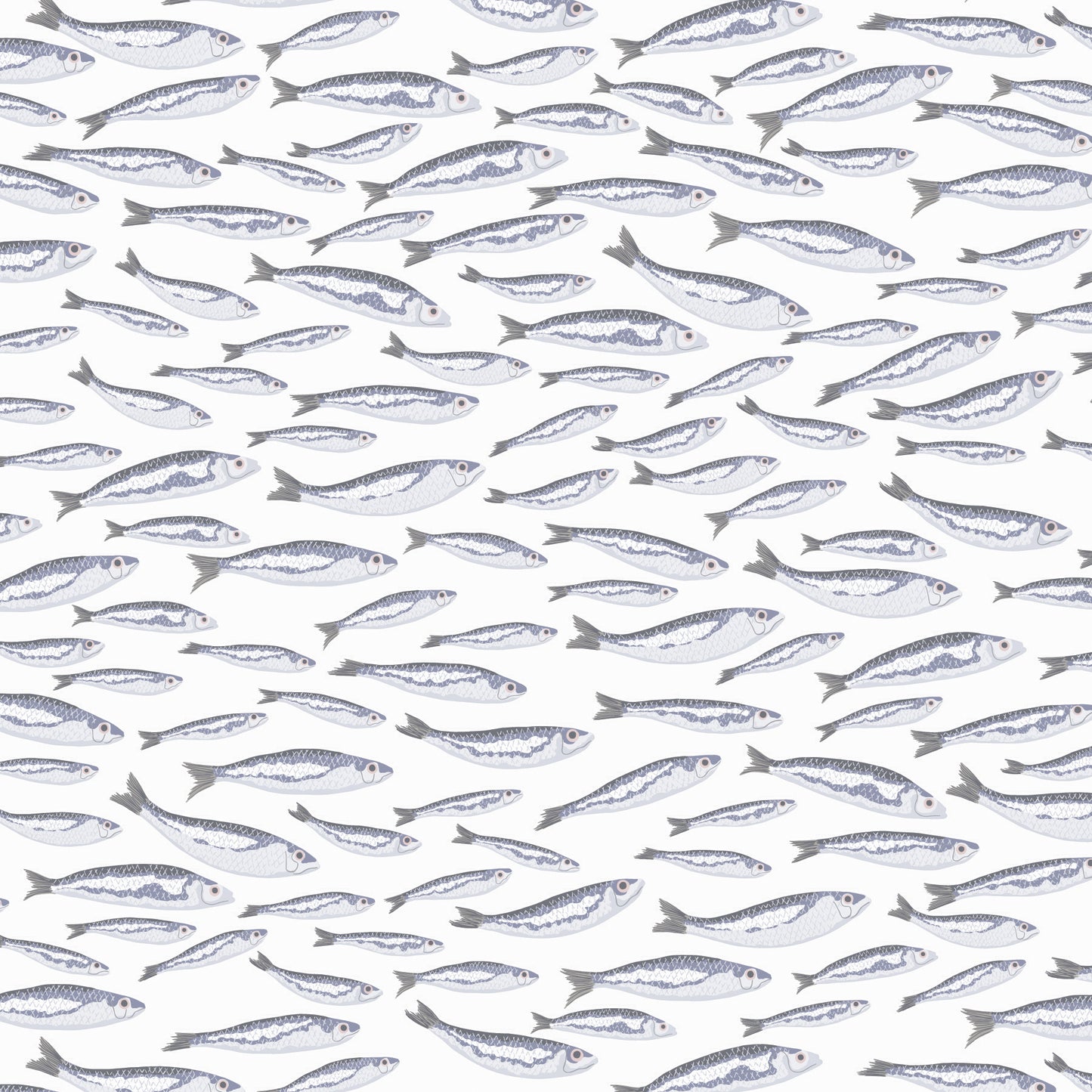 Sardines in White