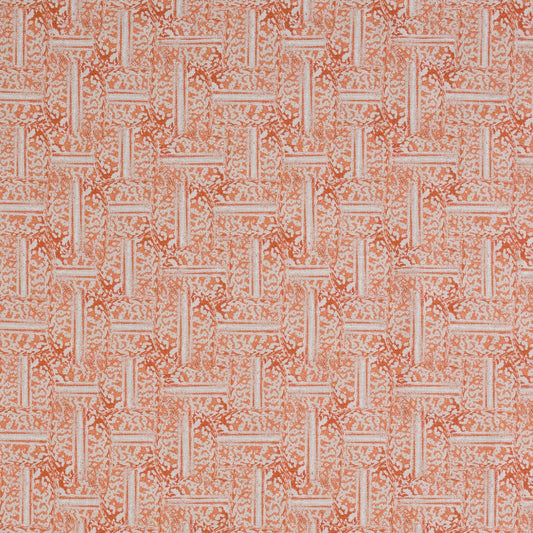 Beetle Backs in Coral Textile